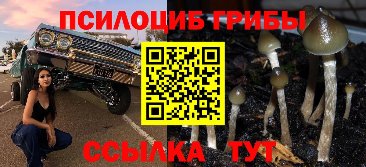 Галлюциногенные грибы MAGIC MUSHROOMS  Псилоцибиновые грибы Cubensis  Вход с VPN  Зерноград 
