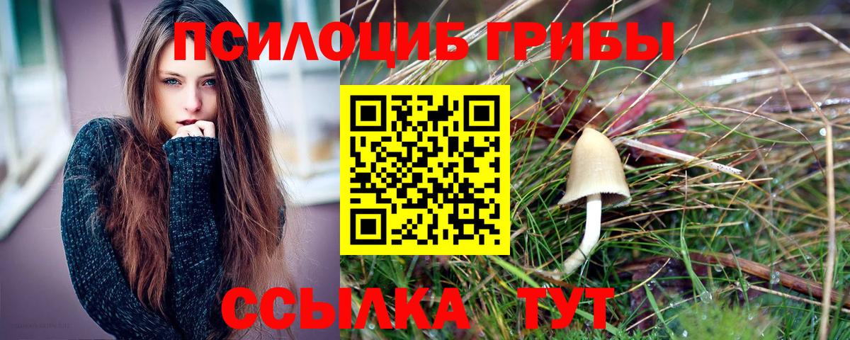 Галлюциногенные грибы ЛСД Зерноград